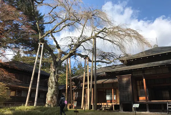 日光田母沢御用邸記念公園の写真・動画_image_396033
