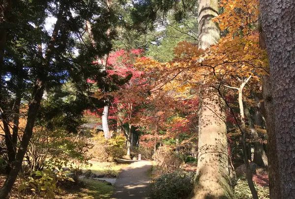 日光田母沢御用邸記念公園の写真・動画_image_396035