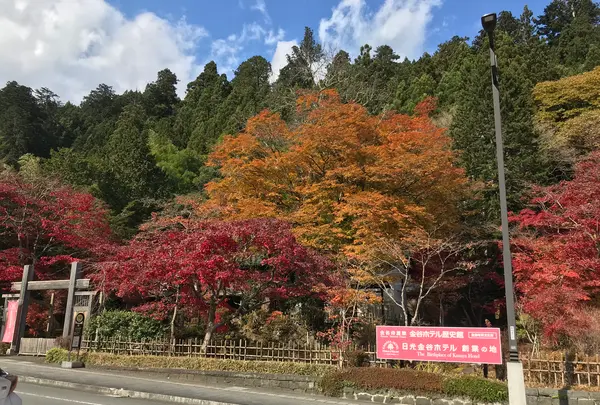 神橋の写真・動画_image_396041