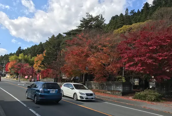 神橋の写真・動画_image_396042