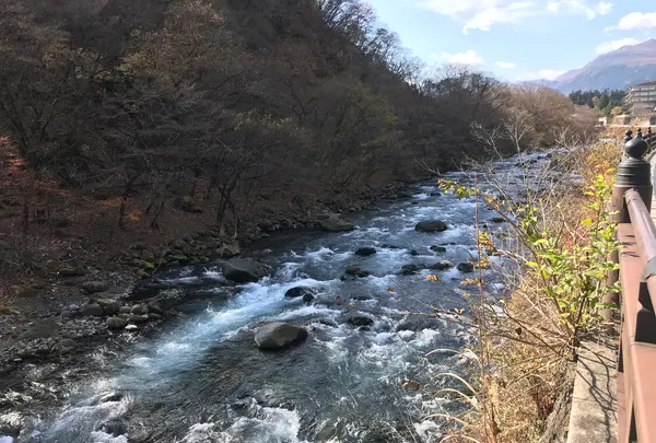 神橋の写真・動画_image_396046