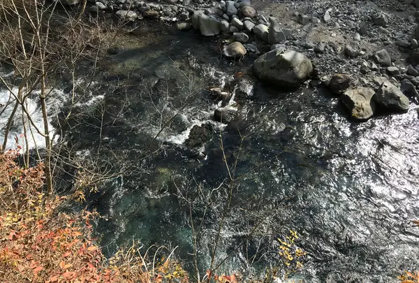 神橋の写真・動画_image_396048