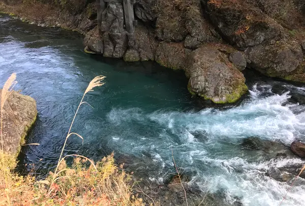 神橋の写真・動画_image_396049