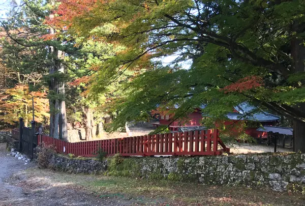 日光東照宮の写真・動画_image_396059