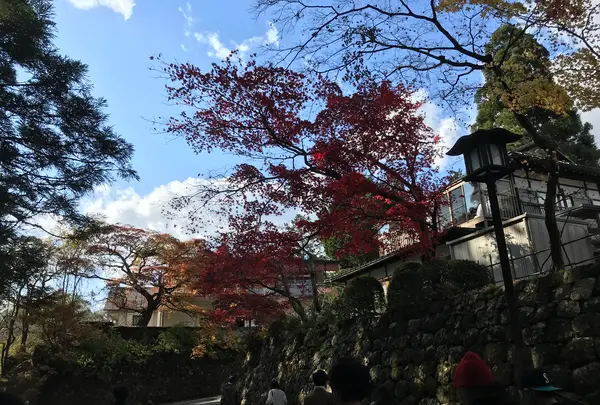 日光東照宮の写真・動画_image_396060