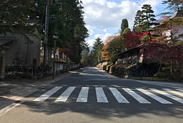 日光東照宮の写真・動画_image_396061