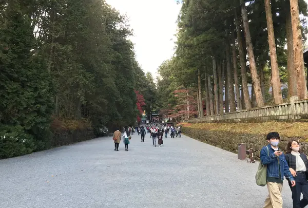 日光東照宮の写真・動画_image_396068