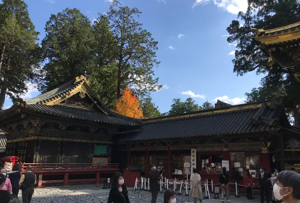 日光東照宮の写真・動画_image_396090