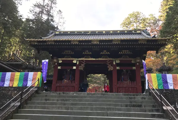 日光東照宮の写真・動画_image_396104