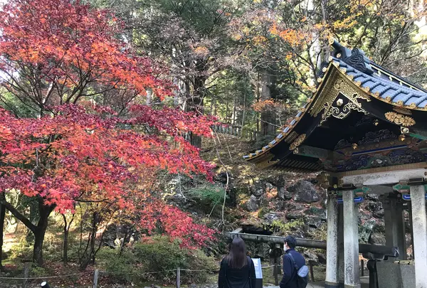 日光東照宮の写真・動画_image_396105