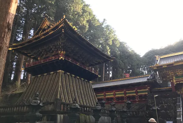 日光東照宮の写真・動画_image_396112