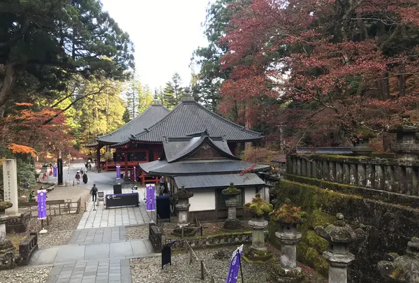 日光東照宮の写真・動画_image_396120