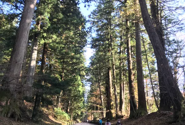 日光東照宮の写真・動画_image_396121