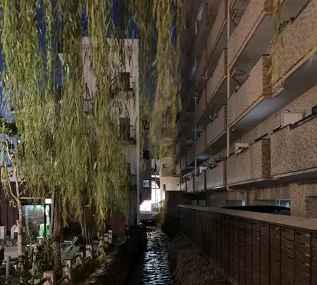 道後温泉駅の写真・動画_image_396579