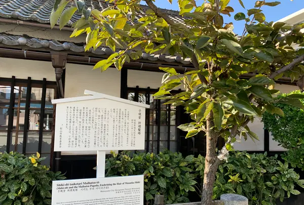 子規堂の写真・動画_image_396662