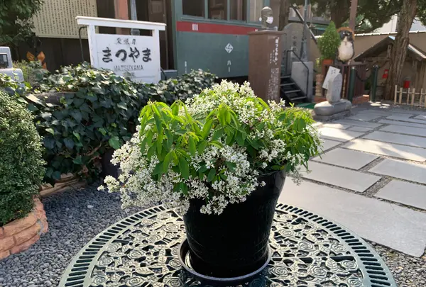 子規堂の写真・動画_image_396670