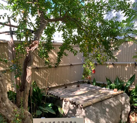 秋山兄弟生誕地の写真・動画_image_396689