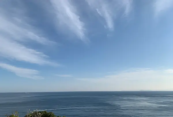 佐田岬灯台の写真・動画_image_396754