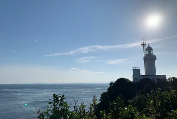 佐田岬灯台の写真・動画_image_396755