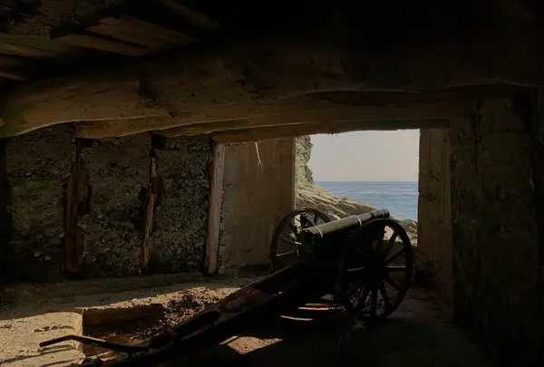 佐田岬灯台の写真・動画_image_396756