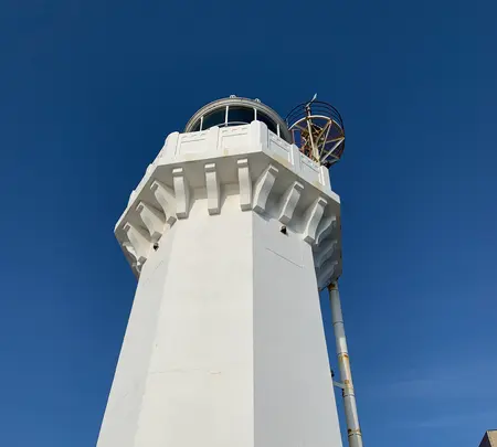 佐田岬灯台の写真・動画_image_396759