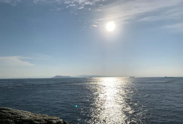 佐田岬灯台の写真・動画_image_396761