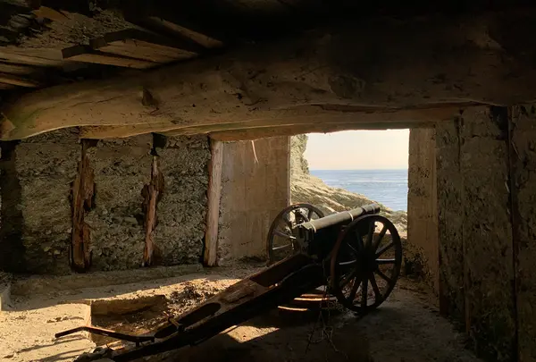 佐田岬灯台の写真・動画_image_396763