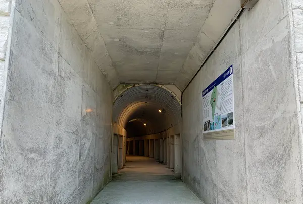 佐田岬灯台の写真・動画_image_396764