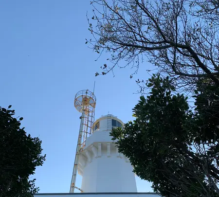 佐田岬灯台の写真・動画_image_396766