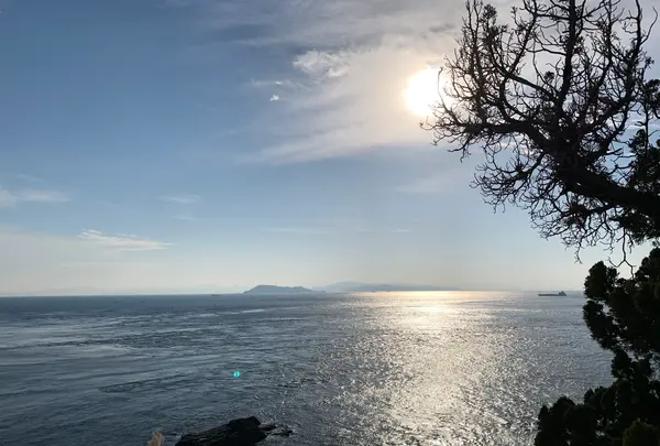 佐田岬灯台の写真・動画_image_396768