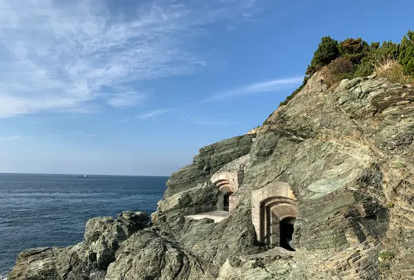 佐田岬灯台の写真・動画_image_396770