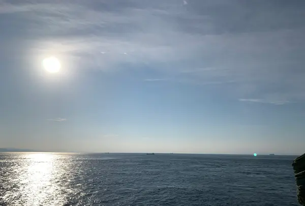 佐田岬灯台の写真・動画_image_396772