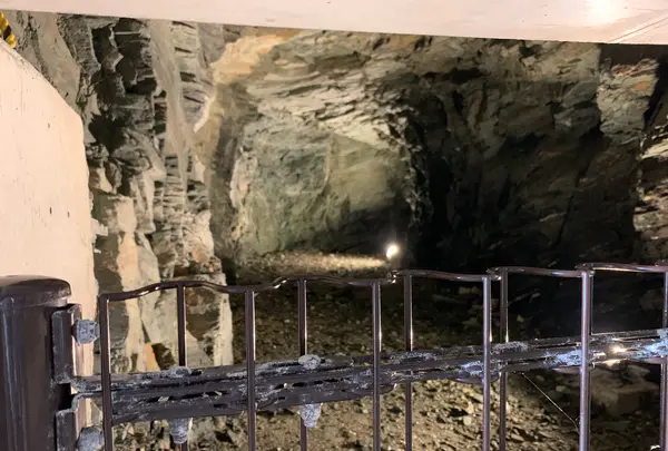 佐田岬灯台の写真・動画_image_396773