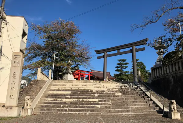 亀山神社の写真・動画_image_396909