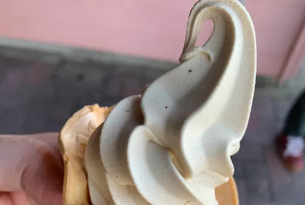 木村ピーナッツ 本社の写真・動画_image_397107