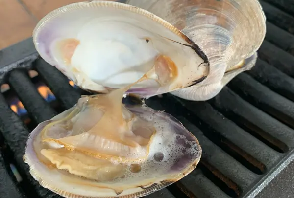 食べ放題もありますが