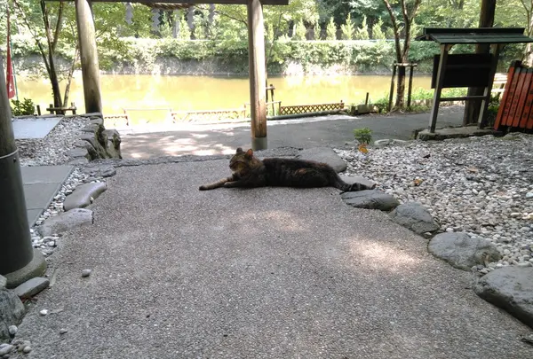 御髪神社