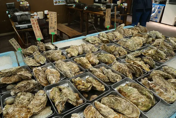 カキ小屋の写真・動画_image_397515