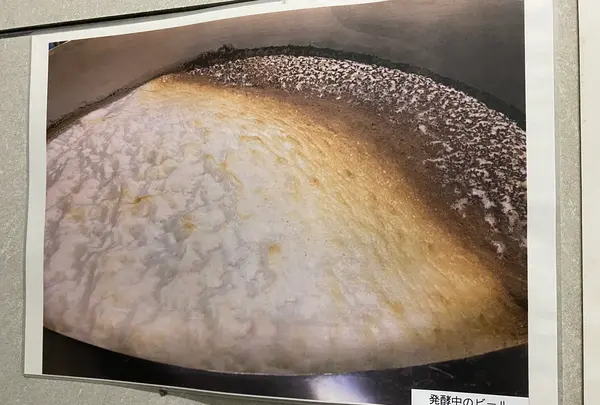 ベアレン醸造所の写真・動画_image_397851