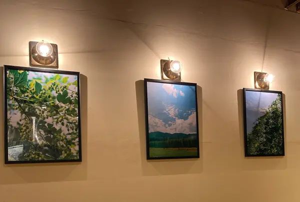 遠野醸造TAPROOMの写真・動画_image_397855