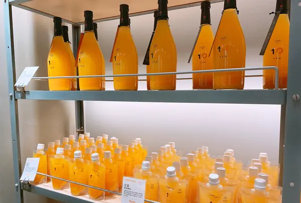 道後ハイカラ通りの写真・動画_image_398743