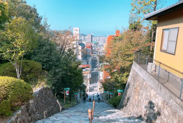 伊佐爾波神社の写真・動画_image_398751