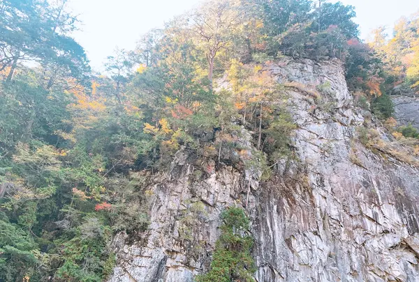 面河渓の写真・動画_image_398765