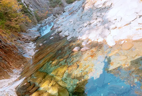 面河渓の写真・動画_image_398766