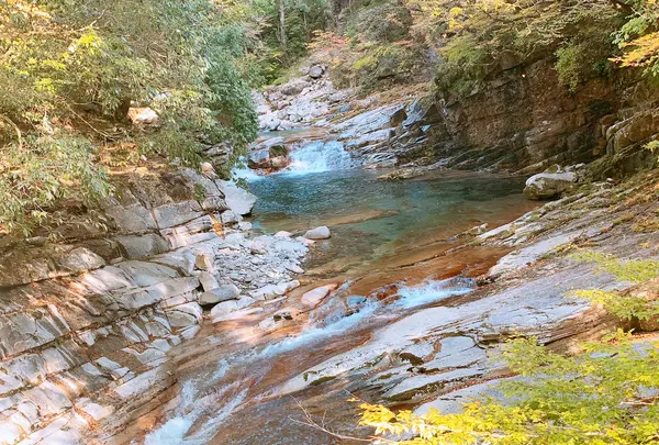 面河渓の写真・動画_image_398767