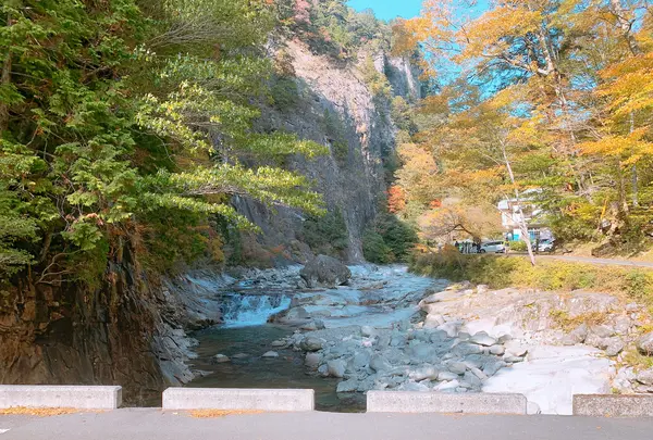 面河渓の写真・動画_image_398769