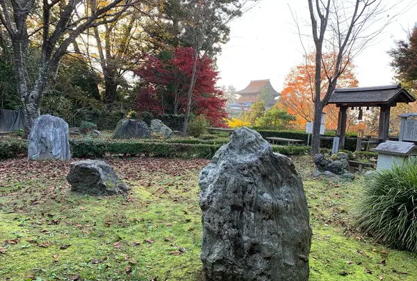 吉水神社の写真・動画_image_398855