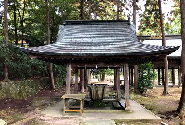 野田神社の写真・動画_image_399275