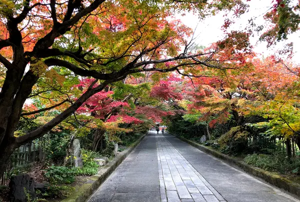 大内氏館跡（大内氏遺跡）の写真・動画_image_399283