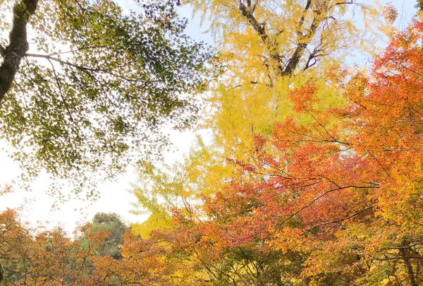 瀧塔山 龍蔵寺の写真・動画_image_399299
